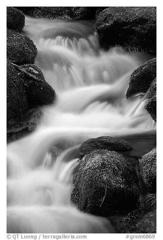 River Cascading, Roaring Fork, Tennessee. Great Smoky Mountains National Park (black and white)