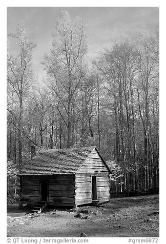 Historic log Cabin, Roaring Fork, Tennessee. Great Smoky Mountains National Park (black and white)