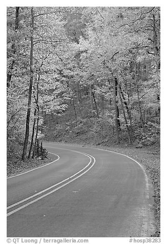 Road curve and fall colors on West Mountain. Hot Springs National Park (black and white)