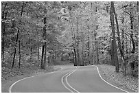 Windy road and fall colors on West Mountain. Hot Springs National Park, Arkansas, USA. (black and white)