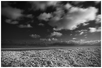 Shelf ice and moving clouds at night, West Beach. Indiana Dunes National Park ( black and white)