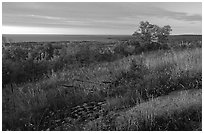 View from the Greenstone ridge. Isle Royale National Park (black and white)