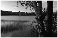 West Chickenbone lake at dusk. Isle Royale National Park, Michigan, USA. (black and white)
