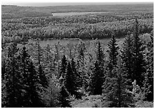 Lakes and forest from Mt Ojibway. Isle Royale National Park ( black and white)