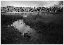 Grasses and East Chickenbone Lake. Isle Royale National Park, Michigan, USA. (black and white)