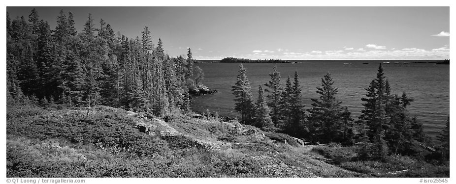 Lakeshore and trees. Isle Royale National Park (black and white)