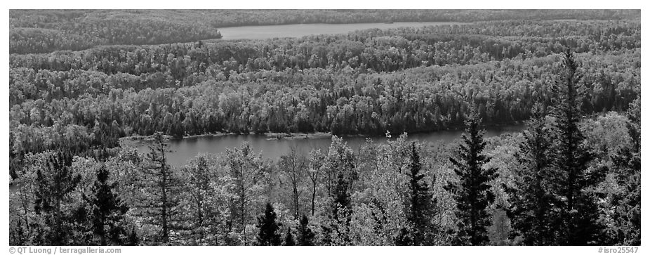 Lakes and forest in autumn. Isle Royale National Park (black and white)