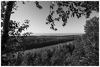 View from Louise Lookout framed by trees. Isle Royale National Park ( black and white)