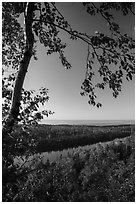 View from Louise Lookout in the summer. Isle Royale National Park ( black and white)