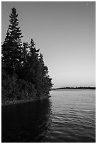 Trees growing at edge of water on Tookers Island. Isle Royale National Park ( black and white)