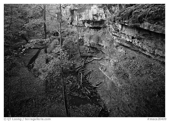 Limestone cliffs and depression in autumn. Mammoth Cave National Park (black and white)