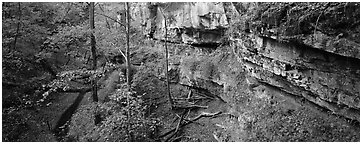 Limestone cliffs and forest. Mammoth Cave National Park (Panoramic black and white)