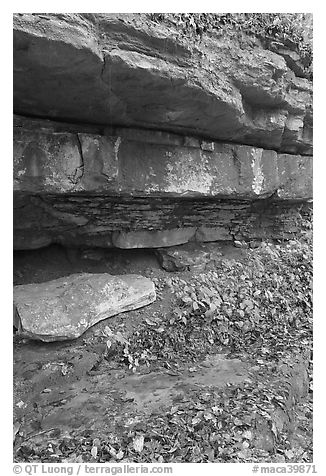 Limestone slabs and overhangs. Mammoth Cave National Park (black and white)