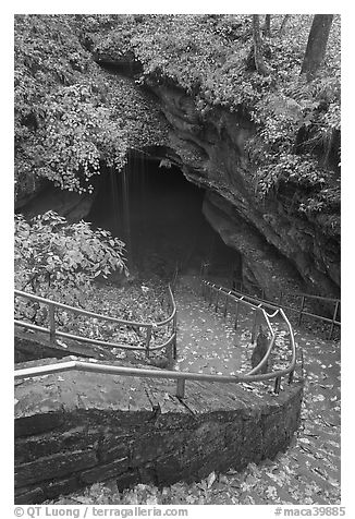 Steps and railing leading down to historical cave entrance. Mammoth Cave National Park (black and white)