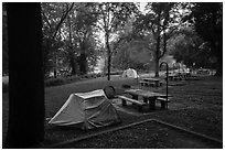 Houchin Ferry Campground. Mammoth Cave National Park ( black and white)