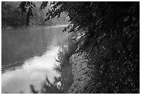 Green River in the rain at Dennison Ferry. Mammoth Cave National Park ( black and white)