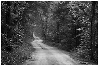 Dennison Ferry Road. Mammoth Cave National Park ( black and white)