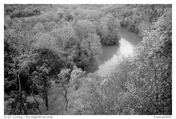 Green River seen from bluff in springtime. Mammoth Cave National Park (black and white)