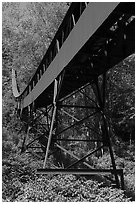 Conveyor descending hill from mine, Nuttallburg. New River Gorge National Park and Preserve ( black and white)