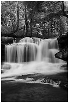Dunloup Creek Falls. New River Gorge National Park and Preserve ( black and white)