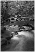Glade Creek flowing in early spring forest. New River Gorge National Park and Preserve ( black and white)