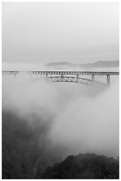 New River Gorge Bridge emerging from fog at dawn. New River Gorge National Park and Preserve ( black and white)