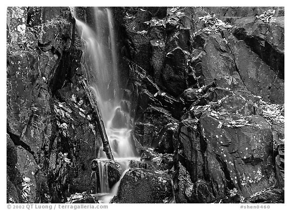 Cascade over dark rock with with fallen leaves. Shenandoah National Park (black and white)