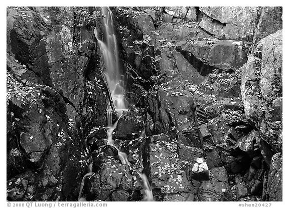 Stream cascading over dark rock in autumn. Shenandoah National Park (black and white)