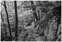 Whiteoak Canyon Trail. Shenandoah National Park ( black and white)