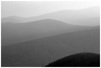 Hazy ridges, sunrise. Shenandoah National Park, Virginia, USA. (black and white)
