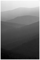 Receding ridges seen from Little Stony Man, sunrise. Shenandoah National Park, Virginia, USA. (black and white)