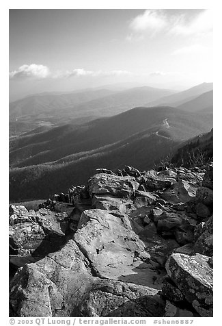 View over hills and crest from Little Stony Man, early morning. Shenandoah National Park (black and white)