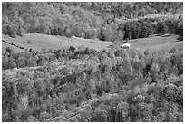 Barn in a meadow. Shenandoah National Park ( black and white)