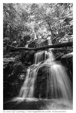 Dark Hollow Falls. Shenandoah National Park (black and white)
