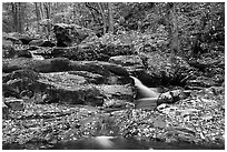Hogcamp Branch of the Rose River. Shenandoah National Park ( black and white)