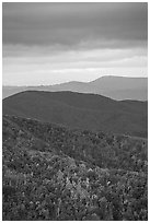 Hillside and receding ridges in Autumn. Shenandoah National Park, Virginia, USA. (black and white)