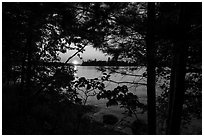 Sunset through trees, Kabetogama Lake. Voyageurs National Park ( black and white)