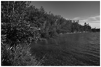 Forested shore of Mukooda Lake. Voyageurs National Park ( black and white)