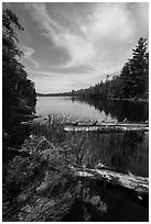 Beast Lake. Voyageurs National Park ( black and white)