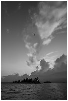 Bird, islets and clouds at sunset, Rainy Lake. Voyageurs National Park ( black and white)