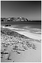 Sand dunes and Cuyler Harbor, afternoon, San Miguel Island. Channel Islands National Park, California, USA. (black and white)