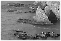 Rocky shoreline of Middle Anacapa Island. Channel Islands National Park, California, USA. (black and white)