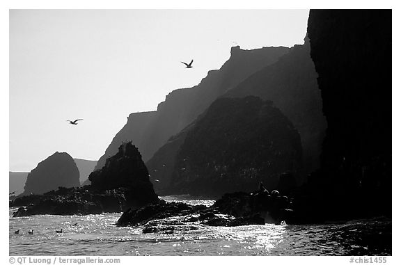 Steep cliffs, East Anacapa. Channel Islands National Park (black and white)
