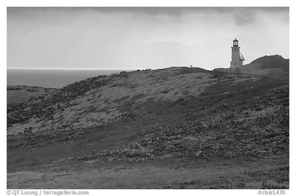 Lighthouse, East Anacapa Island. Channel Islands National Park (black and white)