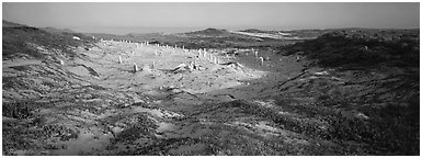 Sandy basin with petrified stumps, San Miguel Island. Channel Islands National Park (Panoramic black and white)