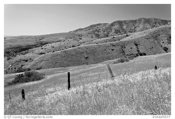 Grasslands, fence and hill ridges, Santa Cruz Island. Channel Islands National Park, California, USA.