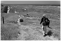 Hiker on trail in the spring, Santa Cruz Island. Channel Islands National Park, California, USA. (black and white)