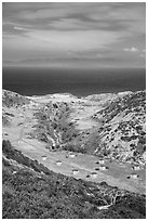 Water Canyon campground from above, Santa Rosa Island. Channel Islands National Park ( black and white)