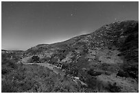 Cherry Canyon at night, Santa Rosa Island. Channel Islands National Park ( black and white)