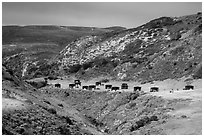 Water Canyon campground, Santa Rosa Island. Channel Islands National Park ( black and white)